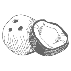 Coconut