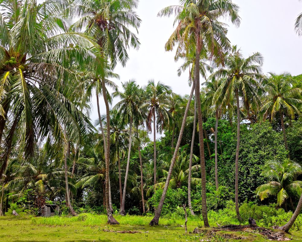 Mendorong Kemandirian Ekonomi Petani Lokal